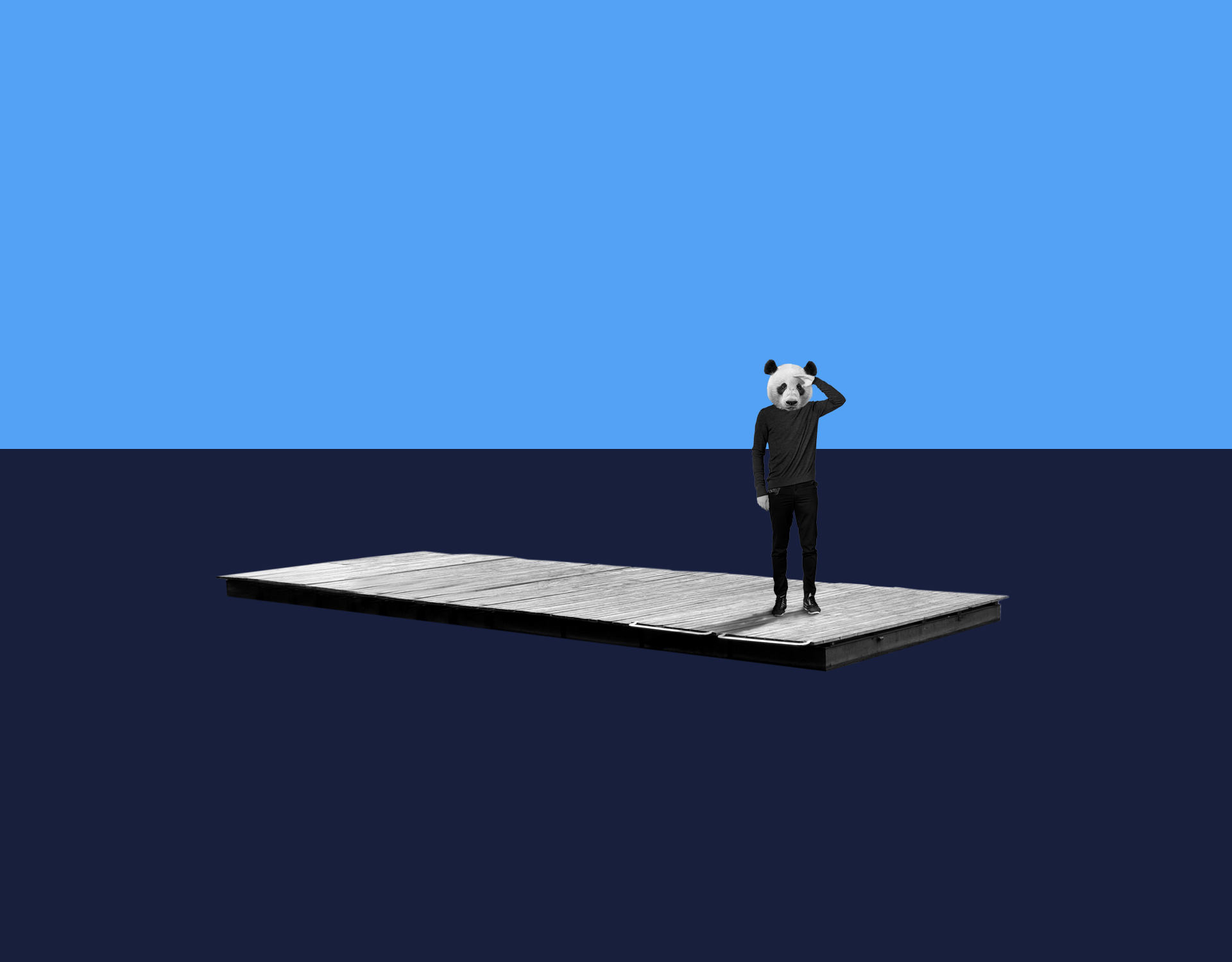 Panda AVICOM' et plateforme de marque