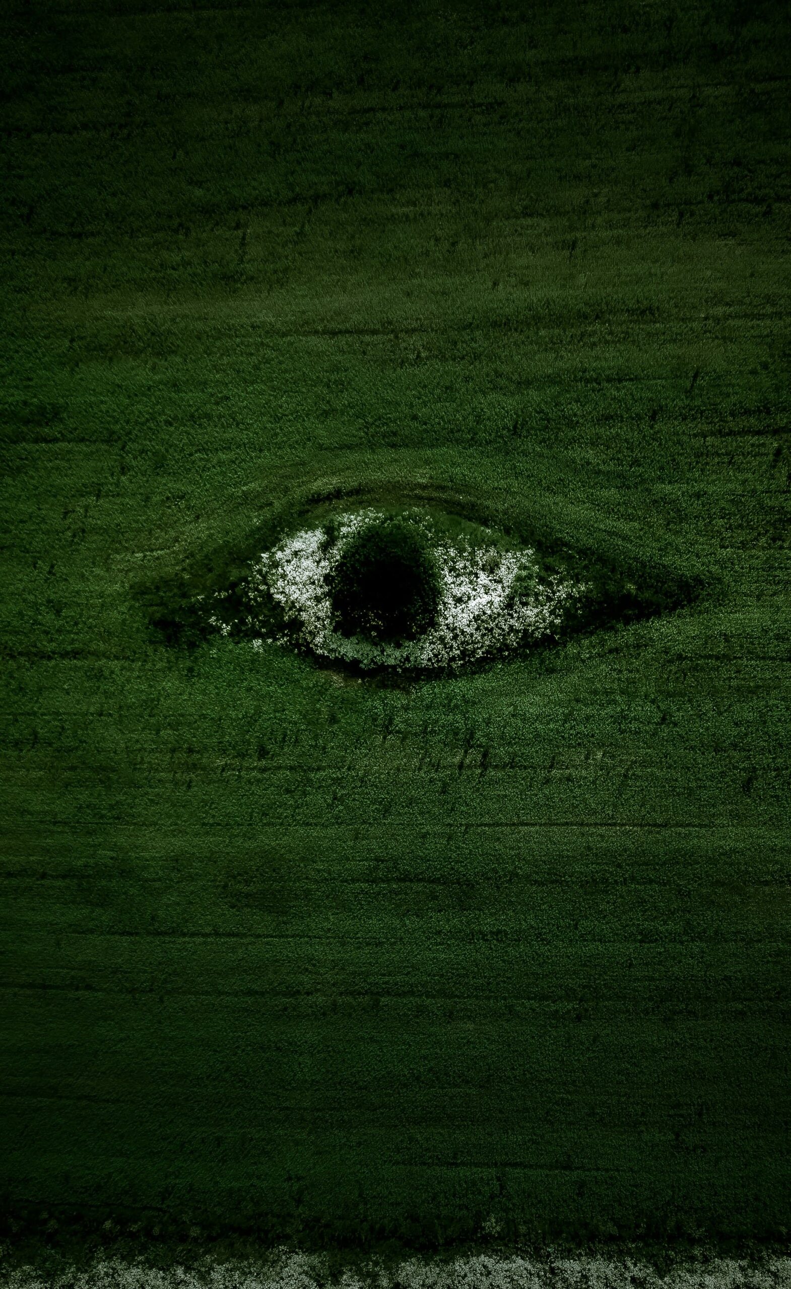 champ vert avec un dessin d'œil humain au centre