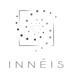 Création du logo pour INNÉIS